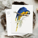 Search for macaw vertical postcards Vintage