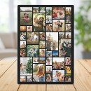 Search for plaques Photo collage