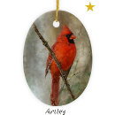 Search for cardinal painting christmas tree decorations Nature