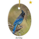 Search for birds christmas tree decorations Wildlife