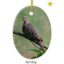Search for mourning doves christmas tree decorations Bird