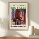 Search for big tree posters California