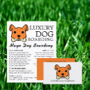 Search for pet sitter flyers Dogs