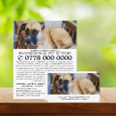 Search for cat sitter flyers Dogs