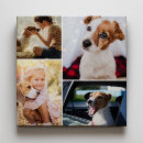 Search for pet collage canvas prints Modern