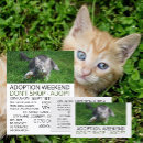 Search for adopt business cards Animals