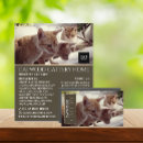 Search for cat 4x5 flyers Pets
