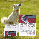 Search for adopt flyers Animals