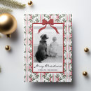 Search for ribbons christmas cards Botanical