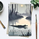 Search for everglades postcards Alligator