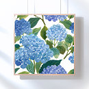 Search for blue hydrangeas posters Flower