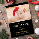 Search for cute cat christmas cards Naughty or nice