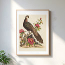 Search for peacock posters Botanical