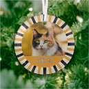 Search for cat girl and christmas tree decorations For pets