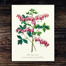 Search for affection vertical postcards Pink
