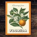 Search for vintage oranges postcards Citrus