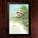 Search for bullfinch posters Vintage