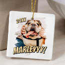 Search for cat lovers christmas tree decorations For cat lover