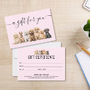Search for vets Dog grooming