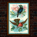 Search for hummingbird art Tropical