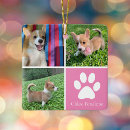 Search for girl and dog christmas tree decorations Cute