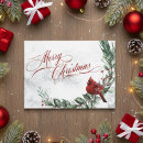 Search for red cardinal christmas cards Snow