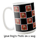Search for pet photographer mugs For pets