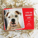 Search for funny dog cards Cat
