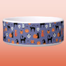 Search for halloween cat bowls Witch