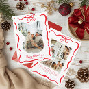 Search for red poinsettia christmas cards Whimsical