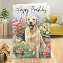 Search for yellow labrador birthday cards Dog