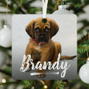 Search for letter christmas tree decorations Create your own