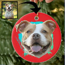 Search for pitbull christmas tree decorations Cute
