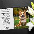 Search for announcing death of dog Memorial
