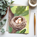 Search for bird eggs postcards Nest