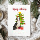 Search for australian shepherd christmas cards Watercolor