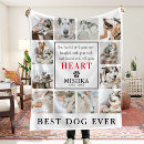 Search for dog photo blankets Sympathy quote
