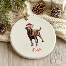 Search for brown dog christmas tree decorations Xmas
