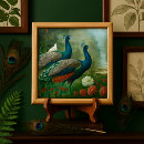 Search for blue peacock tiles Teal