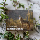 Search for coyotes Cactus
