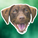 Search for laptop stickers Pet