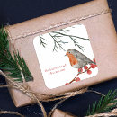 Search for robin redbreast stickers Red berries