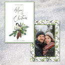 Search for pines christmas cards Woodland