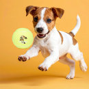 Search for dog tennis balls Puppy