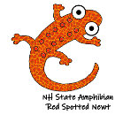 Search for newt iphone cases Amphibian