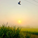 Search for sikh art Beautiful