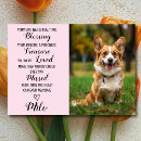 Search for announcing death of dog Memorial