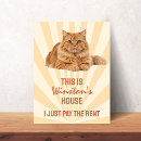 Search for just funny art Crazy cat lady