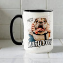 Search for for pet parents mugs For dog lover