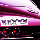 Search for insect bumper stickers Bugs